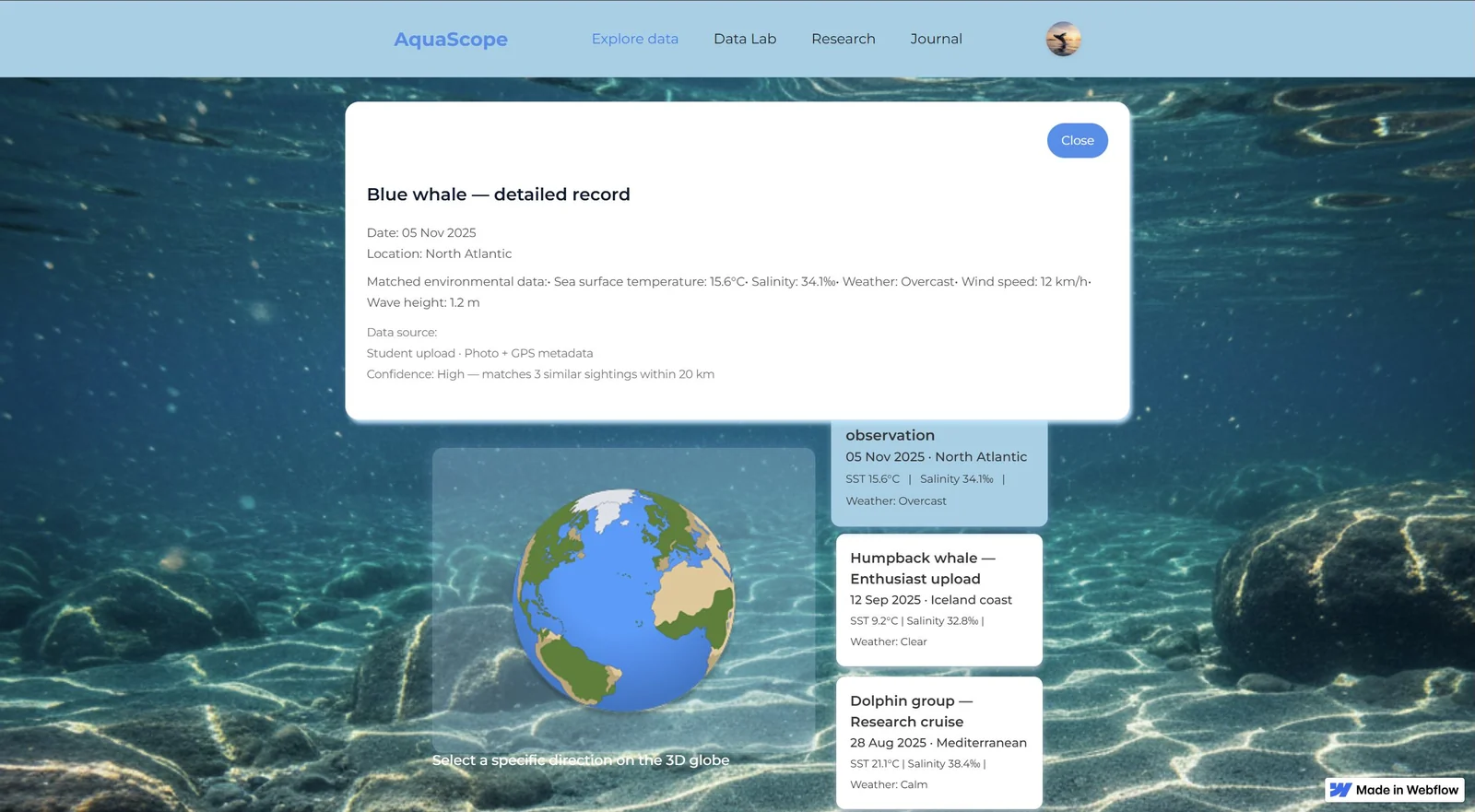 Original Explore observation detail: underwater background, globe and a Blue whale record with time and location