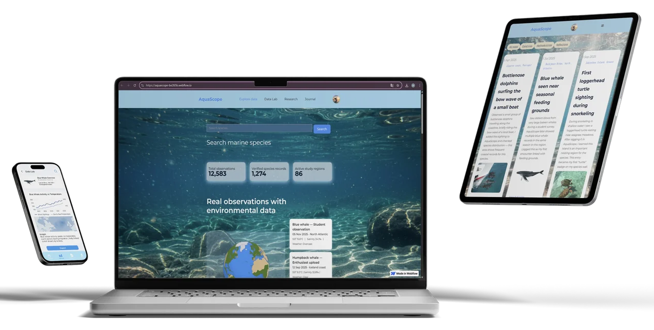 AquaScope concept shown across laptop, tablet and phone