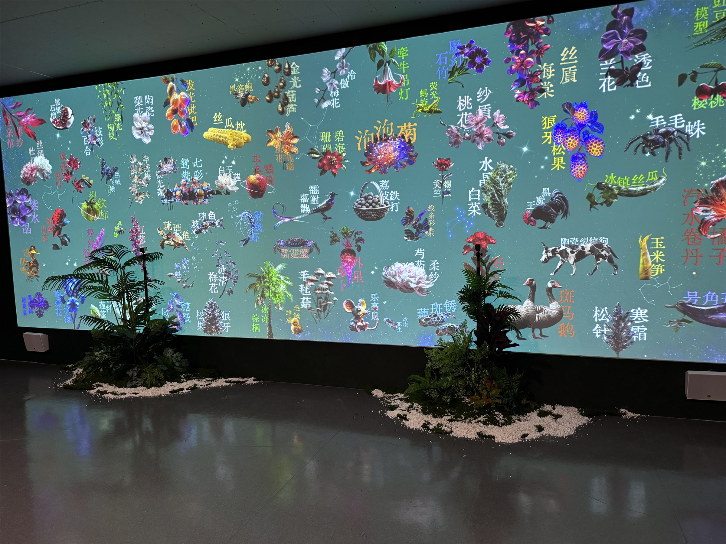 Digital species content and physical planting in the real Peak to Peak exhibition