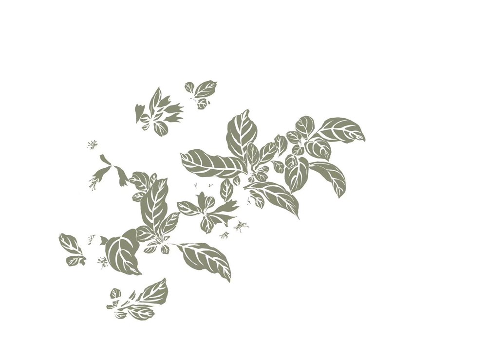 02 · Leaf layer