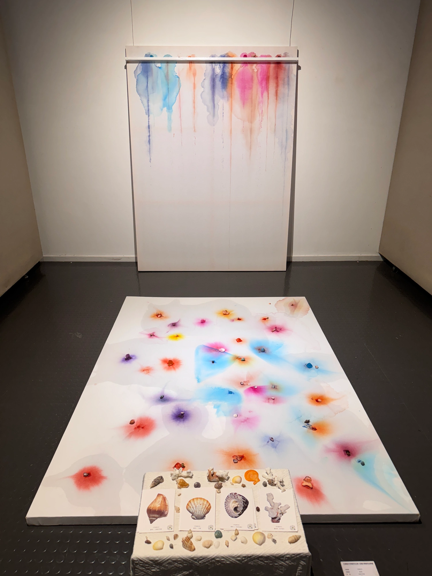 Hanging canvas, floor installation and four AR postcards at the exhibition